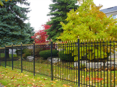 Iron Fence A