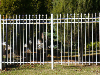 Iron Fence A